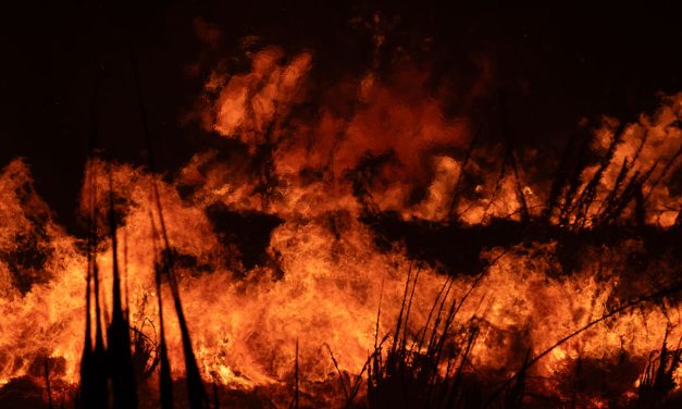 Two firefighters sent to hospital