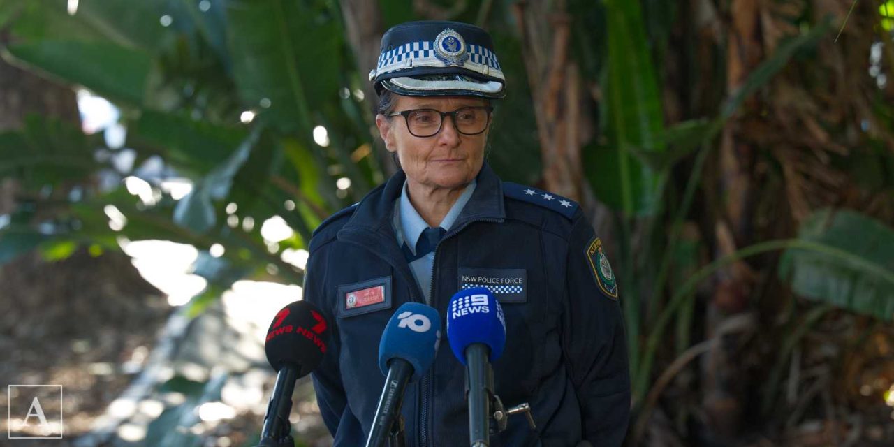 Dee Why bashing arrest