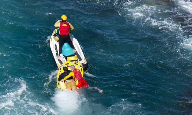 Blowhole rescue starts season