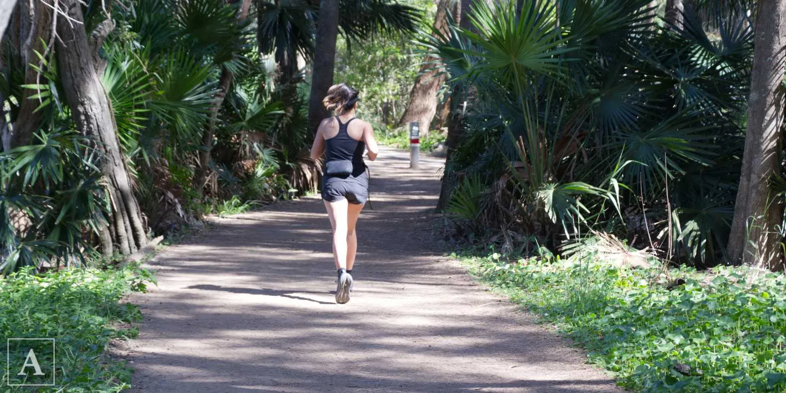 Woman on the exercise and walking trail around Narrabeen Lagoon Woman on the exercise and walking trail around Narrabeen Lagoon